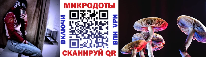 Галлюциногенные грибы Psilocybine cubensis  Приволжский 