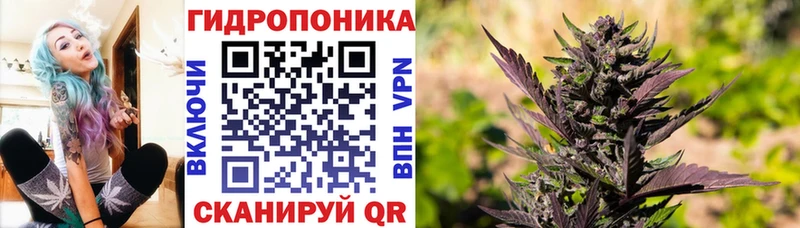 МАРИХУАНА SATIVA & INDICA  Приволжский 